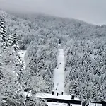 - Vucica