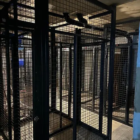 - Vucica Appartamento *