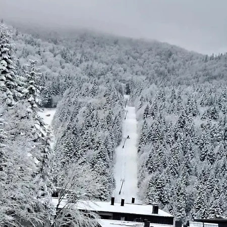 - Vucica