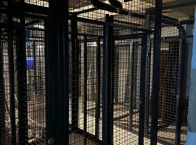 - Vucica Appartamento *